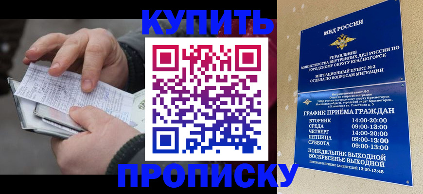 временная регистрация недорого в Балтийске